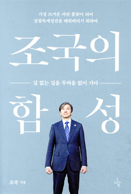 조국의 함성 : 길 없는 길을 두려움 없이 가다